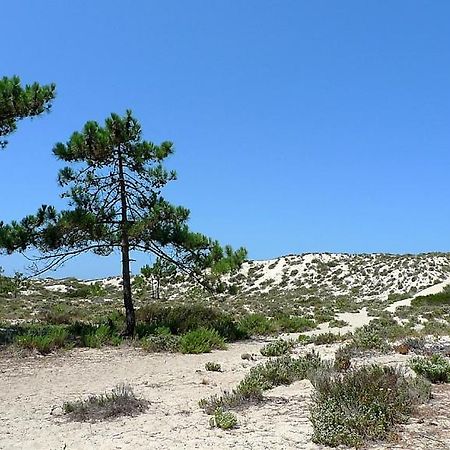 Comporta Beach House エクステリア 写真
